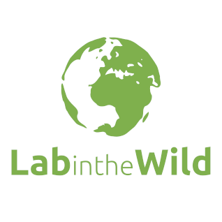 The LabintheWild logo: a globe focusing Africa and Asia and the project name underneath.